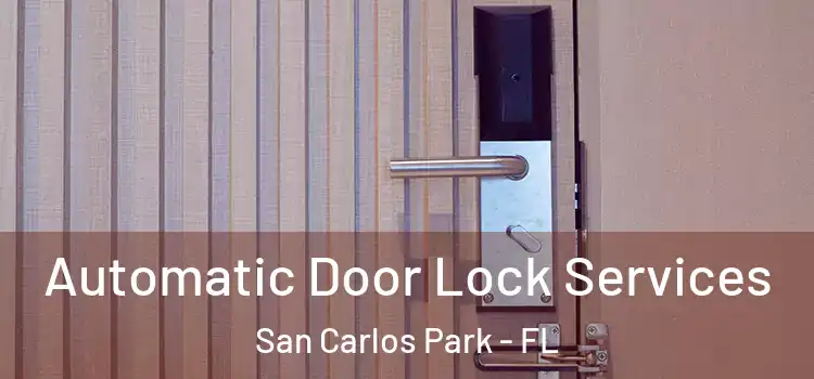  Automatic Door Lock Services San Carlos Park - FL