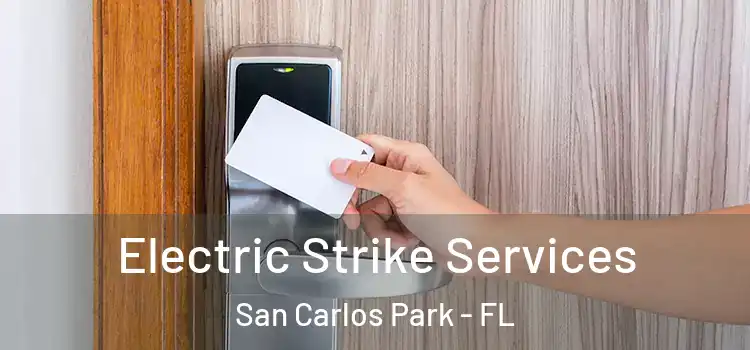 Electric Strike Services San Carlos Park - FL