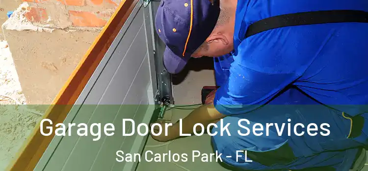 Garage Door Lock Services San Carlos Park - FL