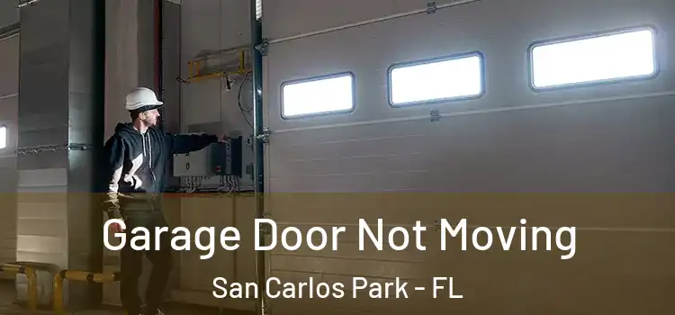  Garage Door Not Moving San Carlos Park - FL