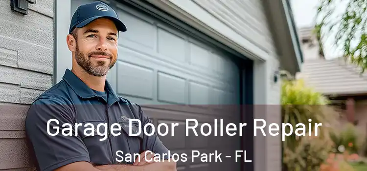  Garage Door Roller Repair San Carlos Park - FL