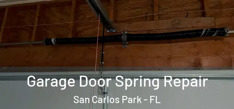  Garage Door Spring Repair San Carlos Park - FL