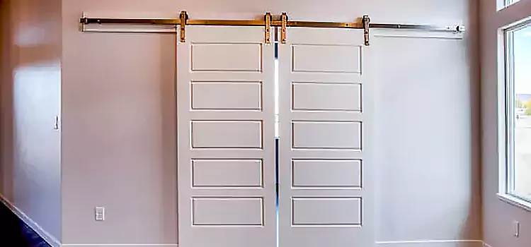 Glass Barn Door with Installation Hardware Kit San Carlos Park