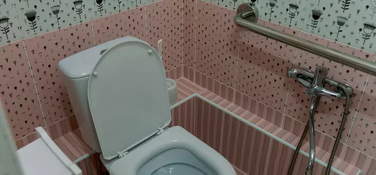 Meeting Diverse Needs With Accessible Restroom Solutions in San Carlos Park, FL
