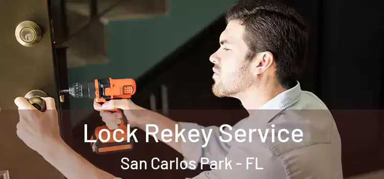  Lock Rekey Service San Carlos Park - FL