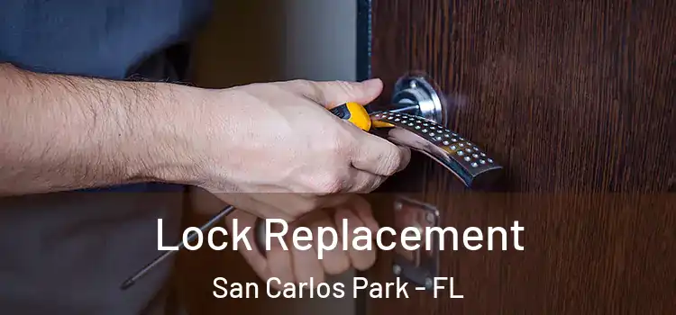 Lock Replacement San Carlos Park - FL