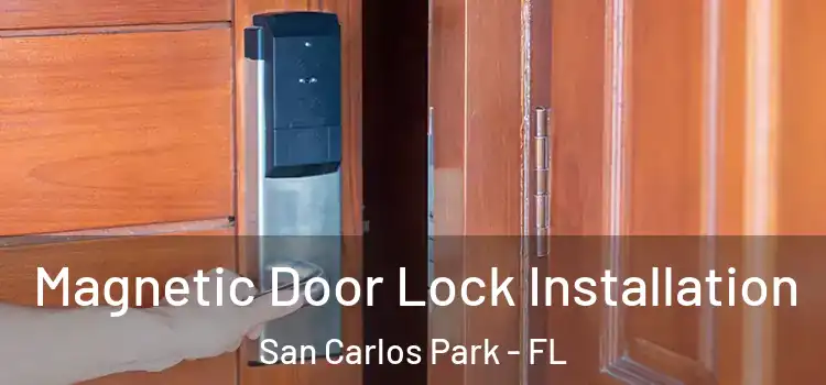  Magnetic Door Lock Installation San Carlos Park - FL