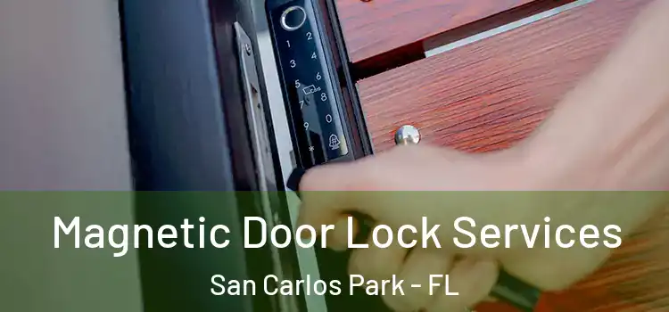 Magnetic Door Lock Services San Carlos Park - FL
