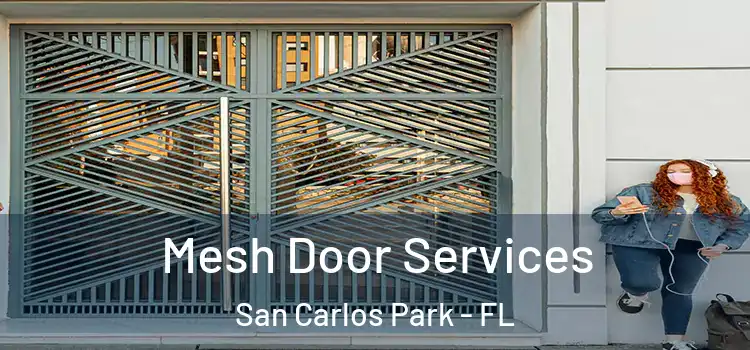  Mesh Door Services San Carlos Park - FL
