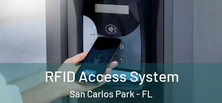  RFID Access System San Carlos Park - FL