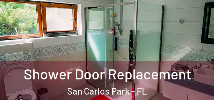 Shower Door Replacement San Carlos Park - FL