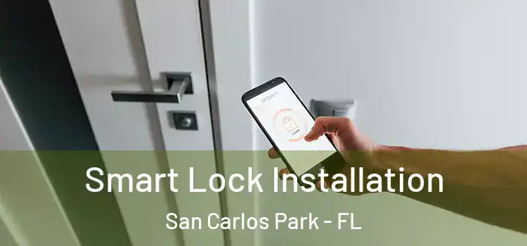  Smart Lock Installation San Carlos Park - FL