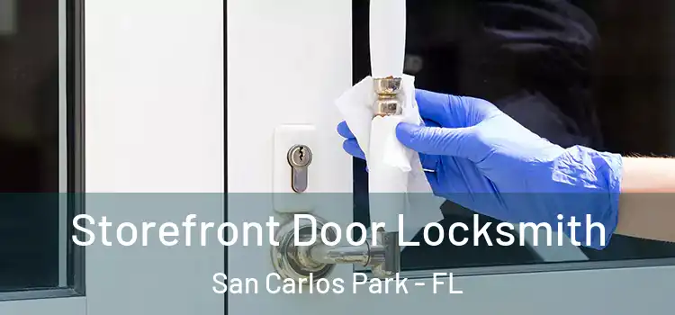 Storefront Door Locksmith San Carlos Park - FL