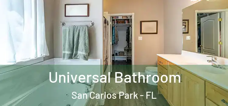 Universal Bathroom San Carlos Park - FL