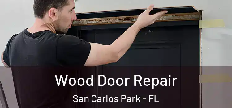 Wood Door Repair San Carlos Park - FL